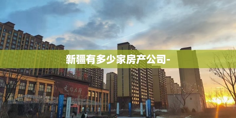 新疆有多少家房产公司-
