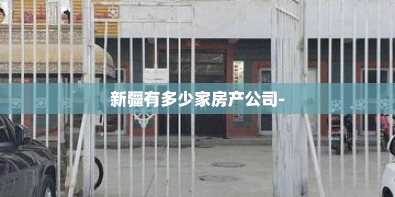 新疆有多少家房产公司-