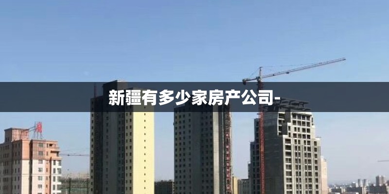 新疆有多少家房产公司-