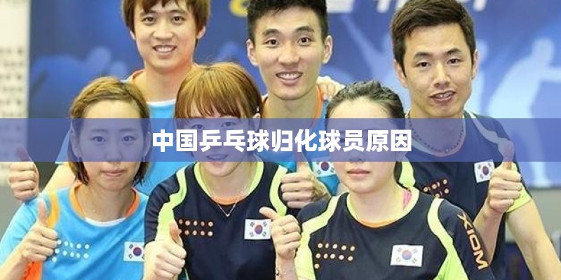 中国乒乓球归化球员原因