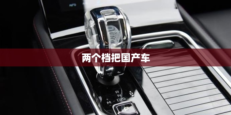 两个档把国产车