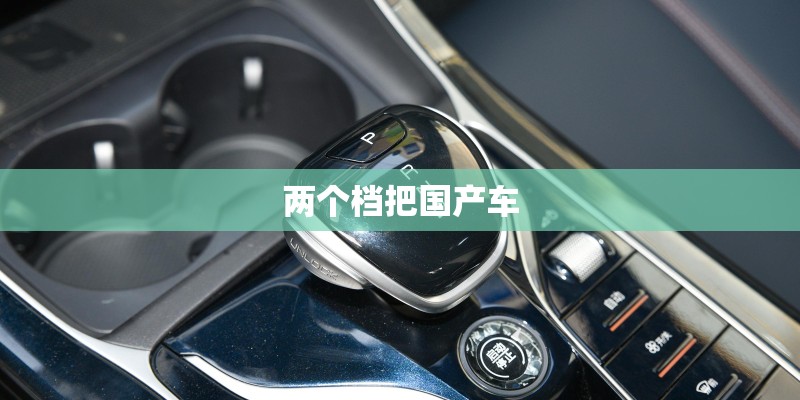 两个档把国产车