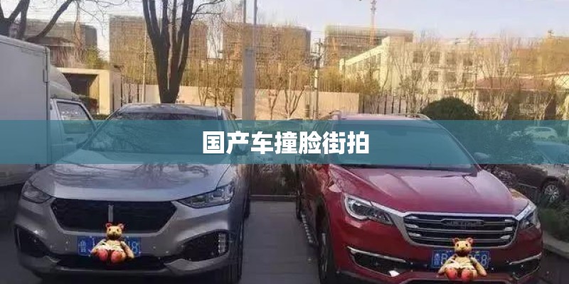 国产车撞脸街拍