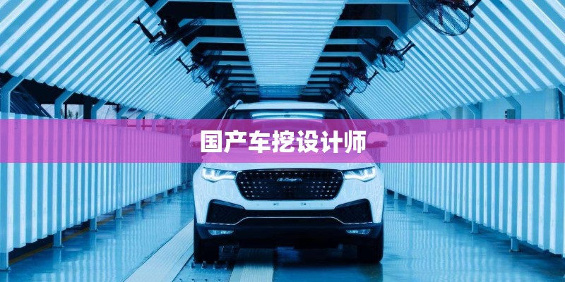 国产车挖设计师