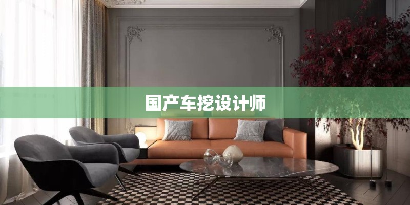 国产车挖设计师