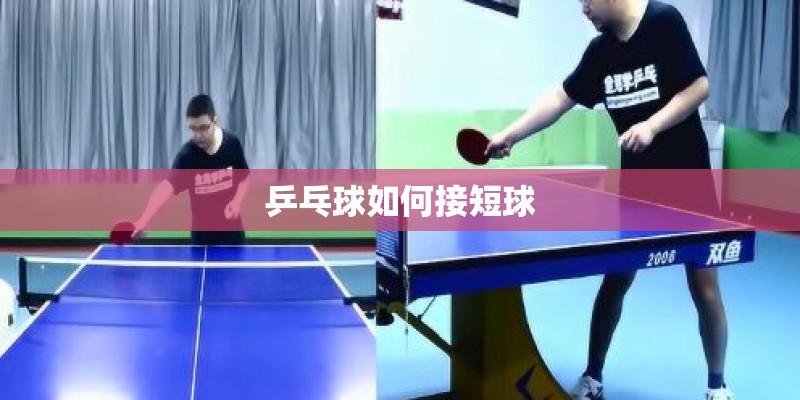 乒乓球如何接短球