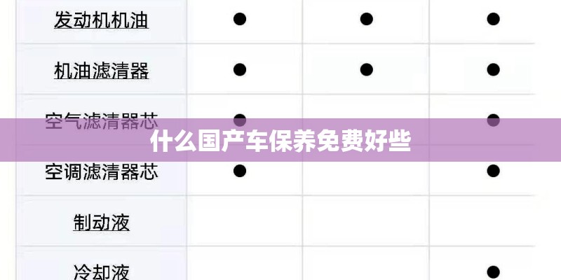 什么国产车保养免费好些