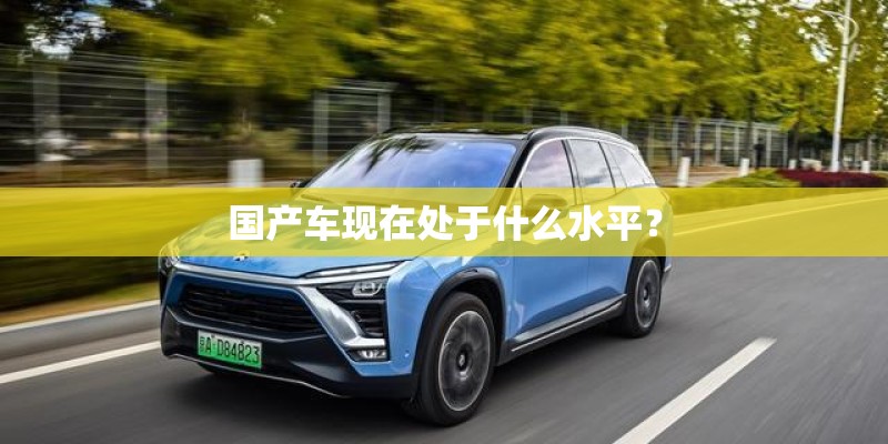 国产车现在处于什么水平？