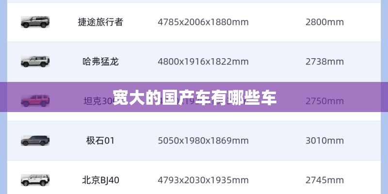 宽大的国产车有哪些车