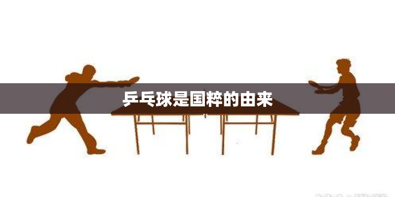 乒乓球是国粹的由来