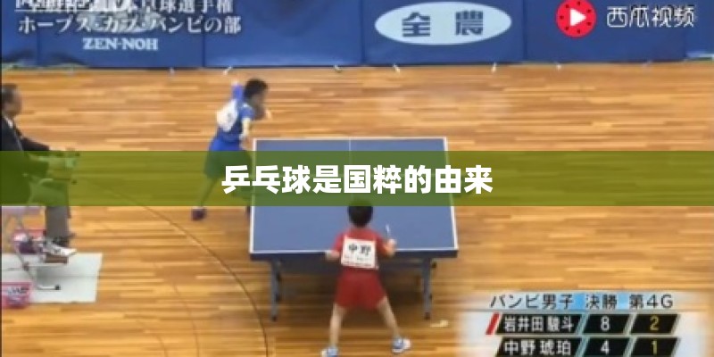 乒乓球是国粹的由来