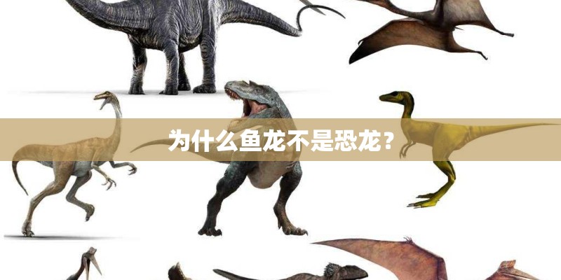 为什么鱼龙不是恐龙？