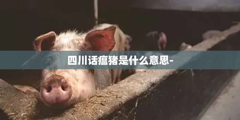 四川话瘟猪是什么意思-