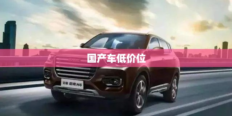 国产车低价位