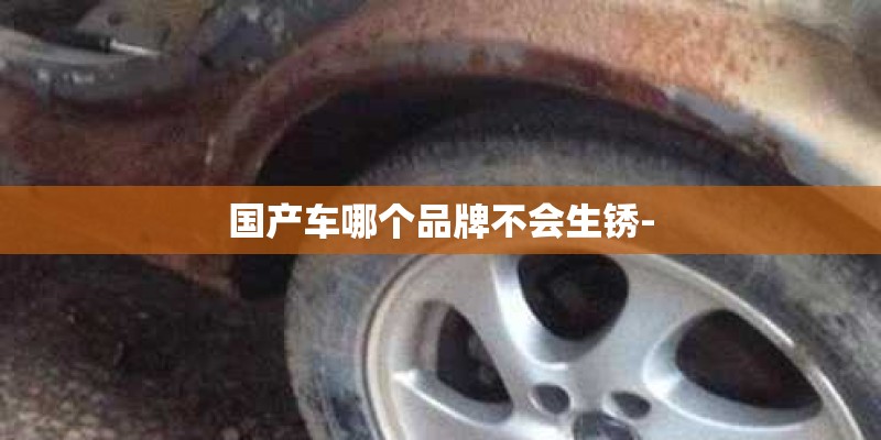 国产车哪个品牌不会生锈-