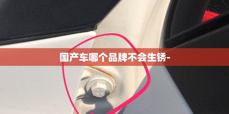 国产车哪个品牌不会生锈-
