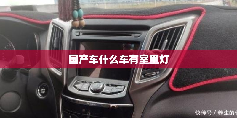 国产车什么车有室里灯