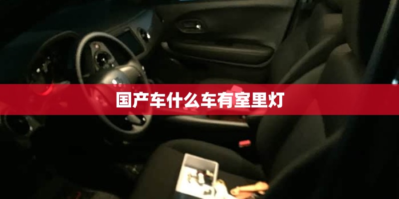 国产车什么车有室里灯