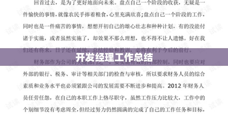 开发经理工作总结