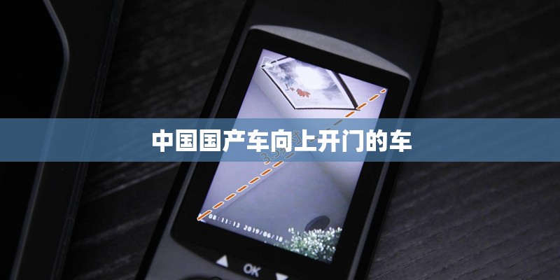 中国国产车向上开门的车