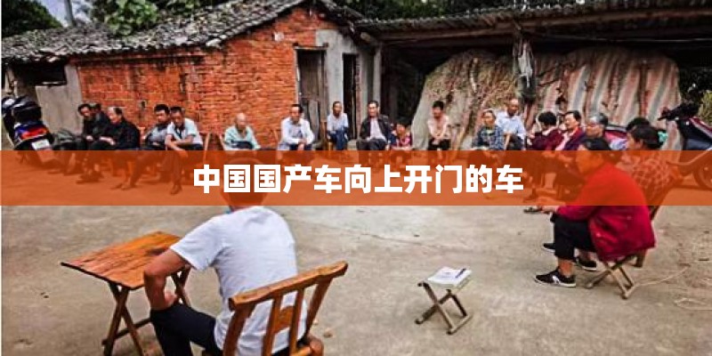 中国国产车向上开门的车
