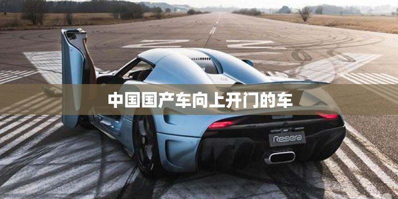 中国国产车向上开门的车