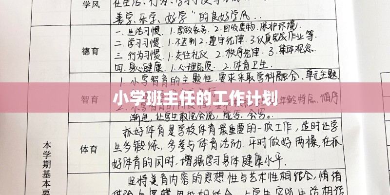 小学班主任的工作计划