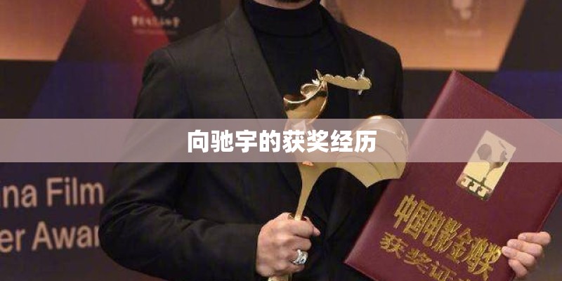 向驰宇的获奖经历