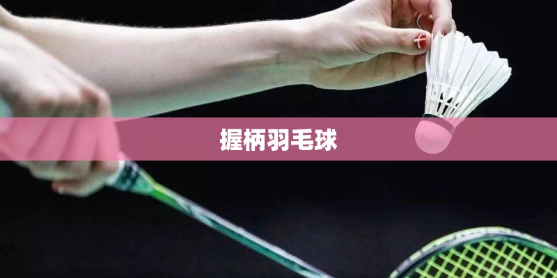 握柄羽毛球