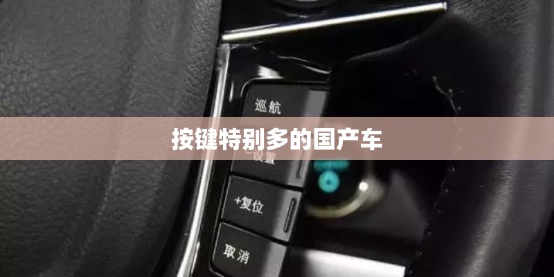 按键特别多的国产车