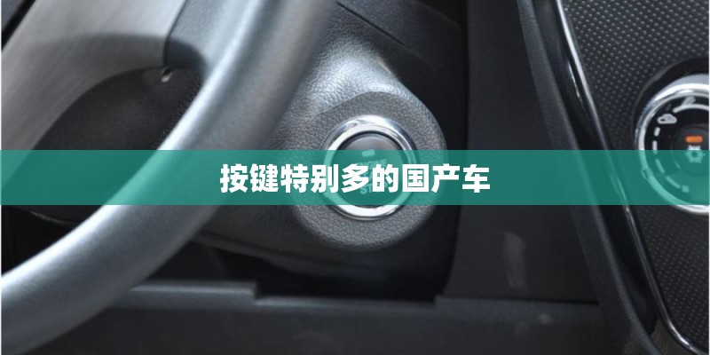按键特别多的国产车