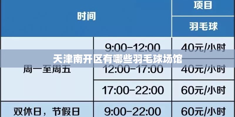 天津南开区有哪些羽毛球场馆