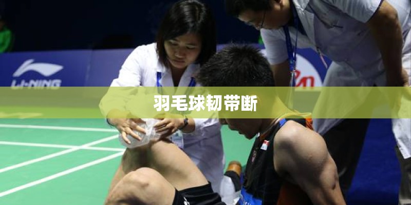 羽毛球韧带断
