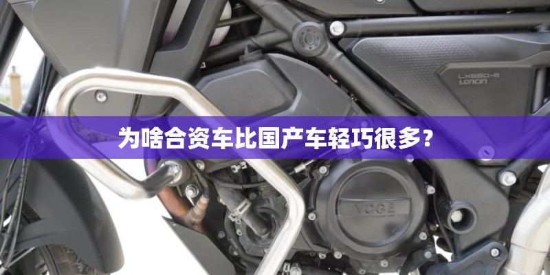 对猫无害的驱蚊方法