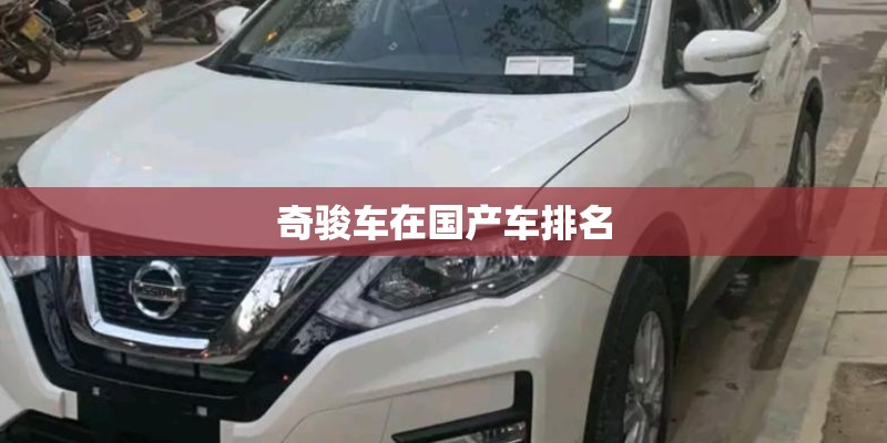 奇骏车在国产车排名
