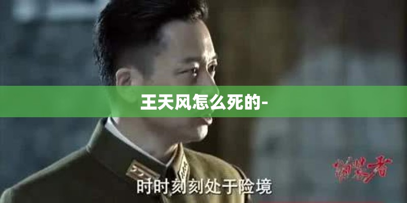 王天风怎么死的-