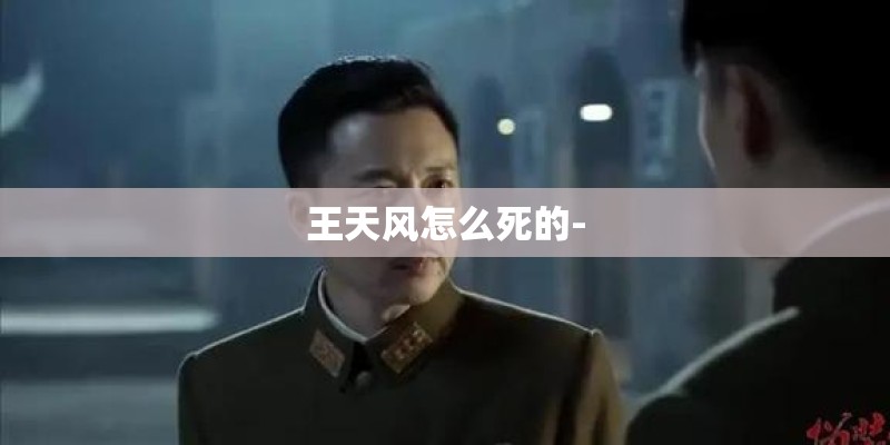 王天风怎么死的-