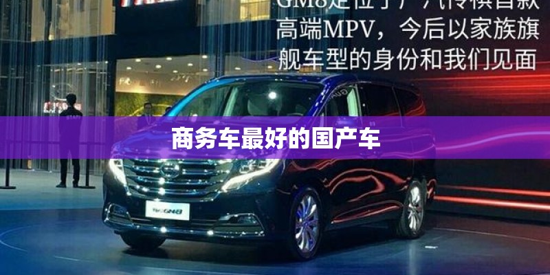 商务车最好的国产车