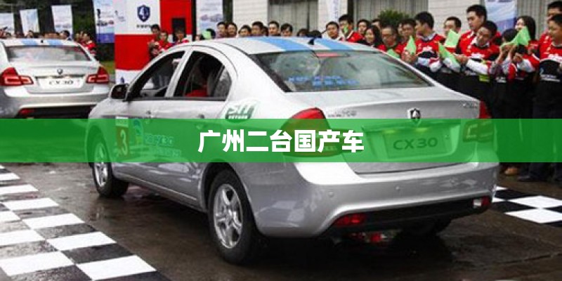 广州二台国产车