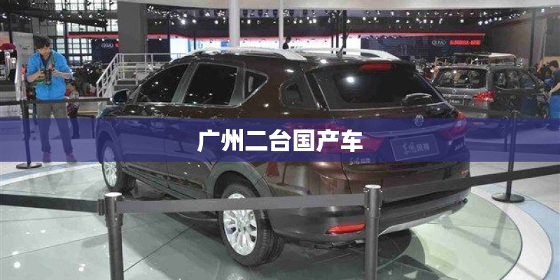 广州二台国产车