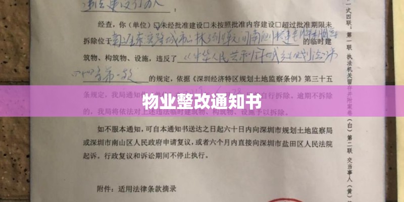 物业整改通知书
