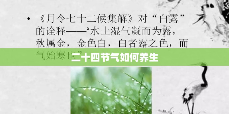 二十四节气如何养生