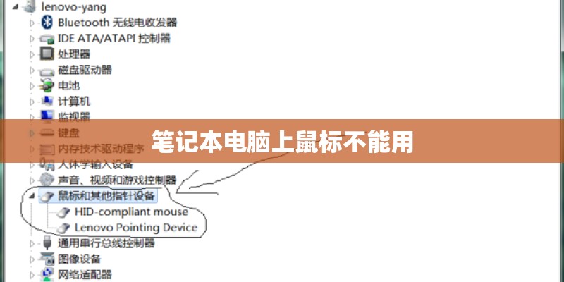 笔记本电脑上鼠标不能用
