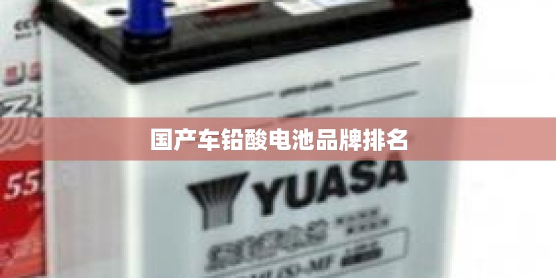 国产车铅酸电池品牌排名