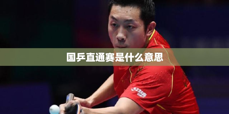 国乒直通赛是什么意思