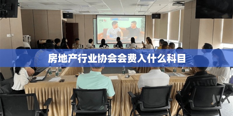 房地产行业协会会费入什么科目