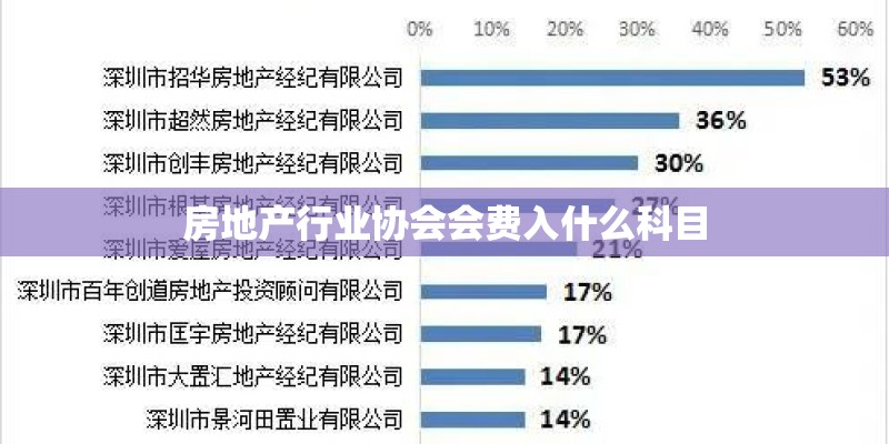房地产行业协会会费入什么科目
