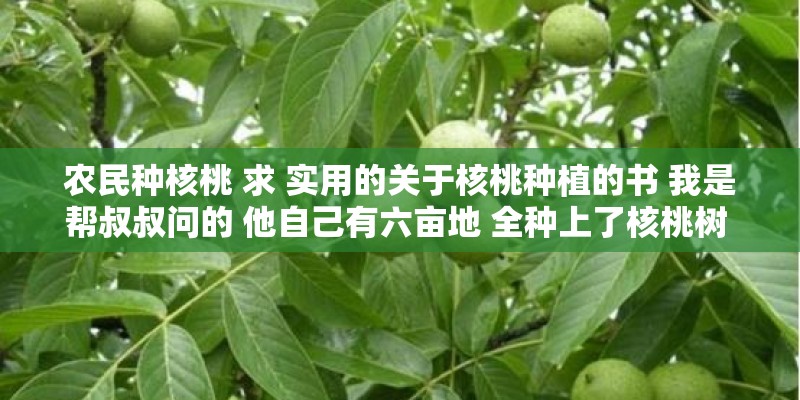 农民种核桃 求 实用的关于核桃种植的书 我是帮叔叔问的 他自己有六亩地 全种上了核桃树 是土生土长的农民