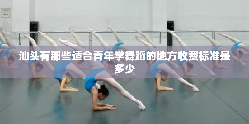 汕头有那些适合青年学舞蹈的地方收费标准是多少