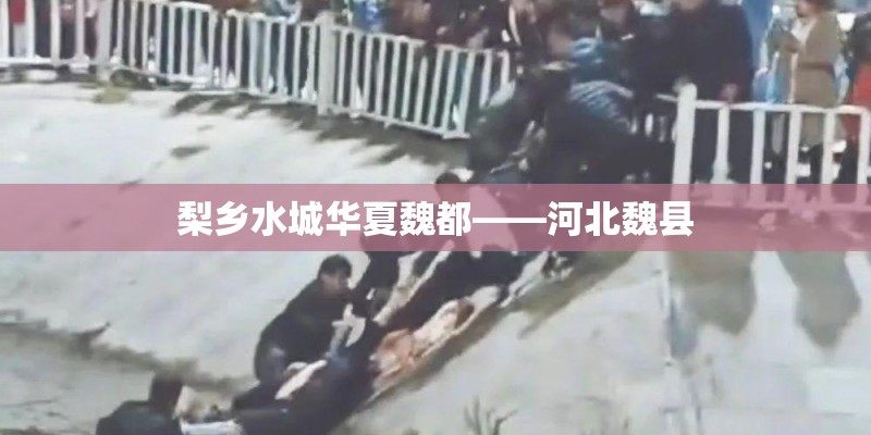 梨乡水城华夏魏都——河北魏县